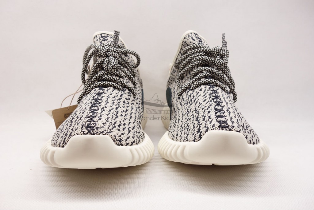 yeezy boost 350 turtle dove