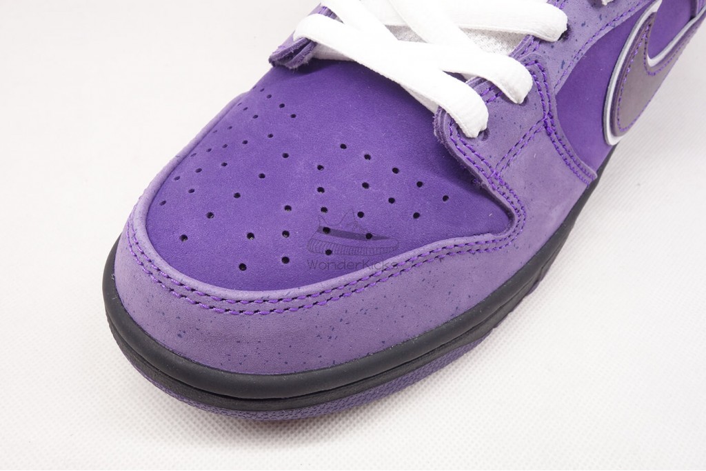 sb dunk low concepts purple lobster